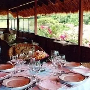 Hotel Cockatoo Hill Retreat, Daintree